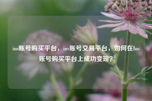 ins账号购买平台，ins账号交易平台，如何在Ins账号购买平台上成功变现？