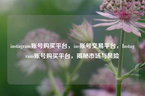 instagram账号购买平台，ins账号交易平台	，Instagram账号购买平台，揭秘市场与风险  第1张