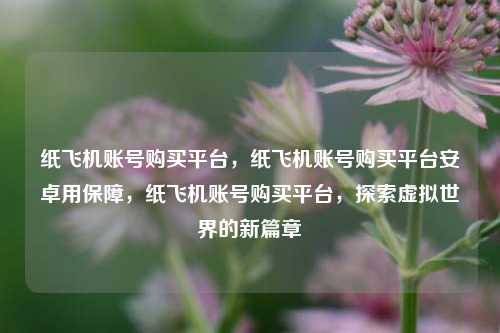 纸飞机账号购买平台，纸飞机账号购买平台安卓用保障，纸飞机账号购买平台，探索虚拟世界的新篇章