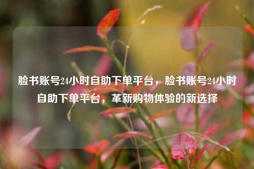 脸书账号24小时自助下单平台，脸书账号24小时自助下单平台，革新购物体验的新选择