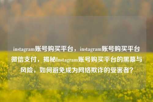 instagram账号购买平台，instagram账号购买平台微信支付，揭秘Instagram账号购买平台的黑幕与风险，如何避免成为网络欺诈的受害者？