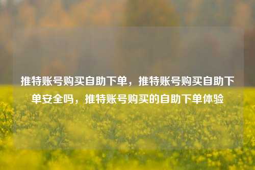 推特账号购买自助下单，推特账号购买自助下单安全吗，推特账号购买的自助下单体验