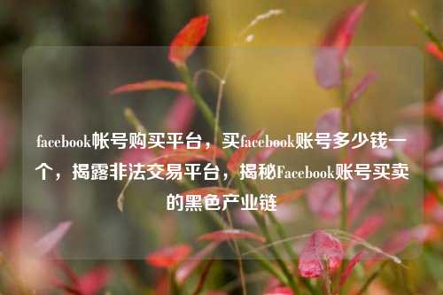 facebook帐号购买平台，买facebook账号多少钱一个，揭露非法交易平台，揭秘Facebook账号买卖的黑色产业链
