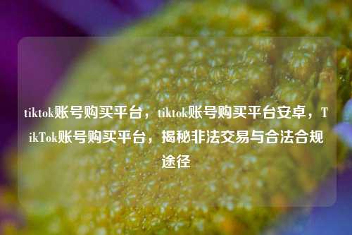 tiktok账号购买平台，tiktok账号购买平台安卓，TikTok账号购买平台，揭秘非法交易与合法合规途径