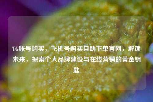 TG账号购买，飞机号购买自助下单官网，解锁未来，探索个人品牌建设与在线营销的黄金钥匙