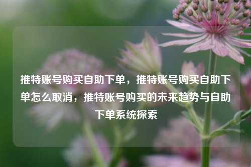 推特账号购买自助下单，推特账号购买自助下单怎么取消，推特账号购买的未来趋势与自助下单系统探索