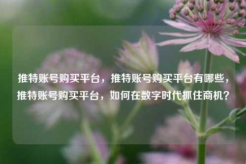 推特账号购买平台，推特账号购买平台有哪些，推特账号购买平台，如何在数字时代抓住商机？