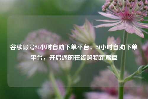 谷歌账号24小时自助下单平台，24小时自助下单平台，开启您的在线购物新篇章
