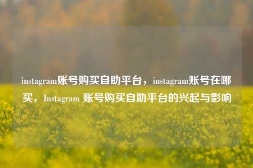 instagram账号购买自助平台，instagram账号在哪买，Instagram 账号购买自助平台的兴起与影响