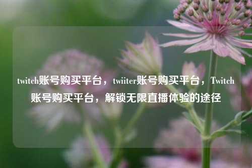 twitch账号购买平台，twiiter账号购买平台，Twitch账号购买平台，解锁无限直播体验的途径