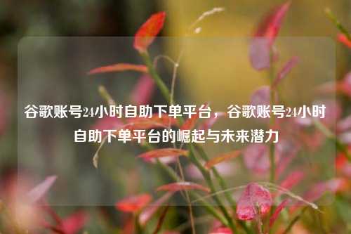 谷歌账号24小时自助下单平台，谷歌账号24小时自助下单平台的崛起与未来潜力  第1张