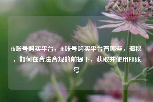 fb账号购买平台，fb账号购买平台有哪些，揭秘，如何在合法合规的前提下，获取并使用FB账号