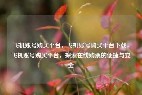 飞机账号购买平台，飞机账号购买平台下载	，飞机账号购买平台，探索在线购票的便捷与安全  第1张