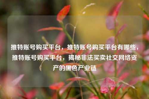 推特账号购买平台，推特账号购买平台有哪些，推特账号购买平台，揭秘非法买卖社交网络资产的黑色产业链