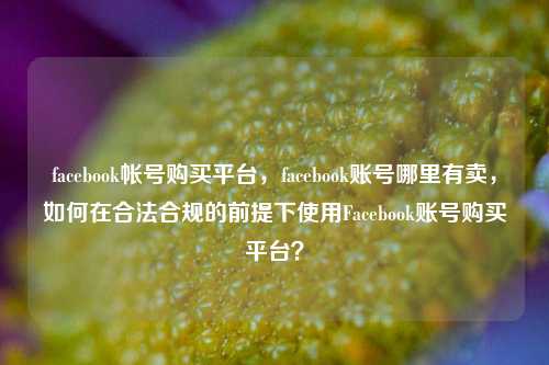 facebook帐号购买平台，facebook账号哪里有卖，如何在合法合规的前提下使用Facebook账号购买平台？  第1张