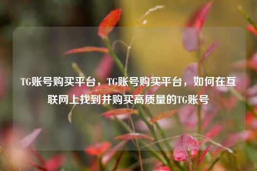 TG账号购买平台，TG账号购买平台，如何在互联网上找到并购买高质量的TG账号