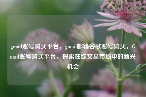 gmail账号购买平台，gmail邮箱谷歌账号购买，Gmail账号购买平台，探索在线交易市场中的新兴机会