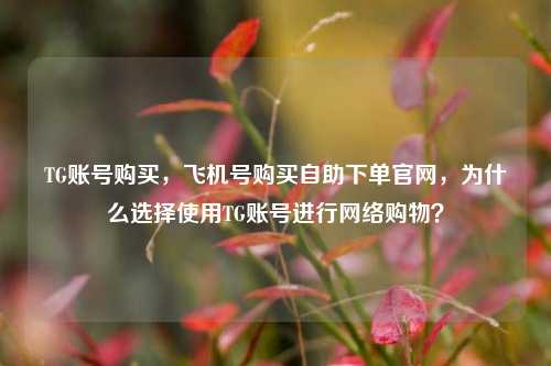 TG账号购买，飞机号购买自助下单官网，为什么选择使用TG账号进行网络购物？