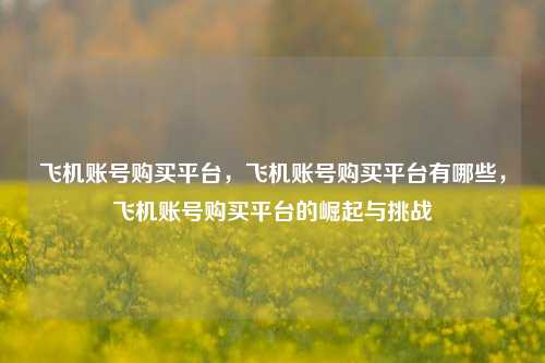 飞机账号购买平台，飞机账号购买平台有哪些，飞机账号购买平台的崛起与挑战