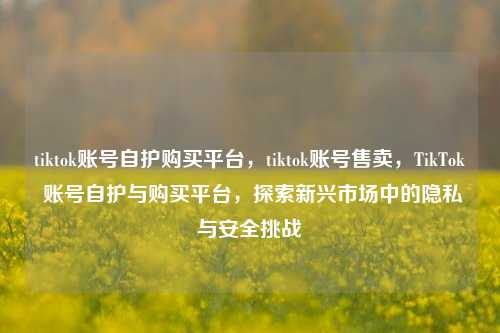 tiktok账号自护购买平台，tiktok账号售卖，TikTok 账号自护与购买平台，探索新兴市场中的隐私与安全挑战