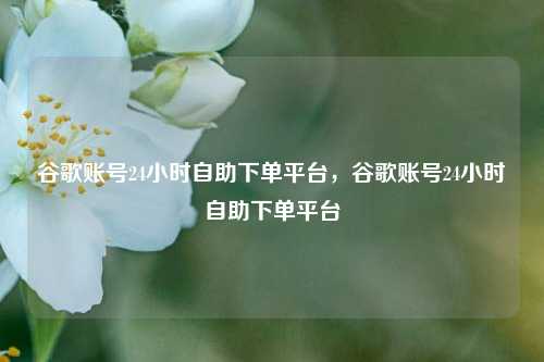 谷歌账号24小时自助下单平台，谷歌账号24小时自助下单平台
