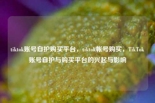 tiktok账号自护购买平台，tiktok帐号购买，TikTok账号自护与购买平台的兴起与影响