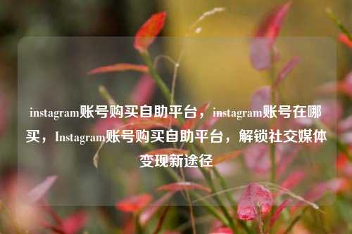 instagram账号购买自助平台，instagram账号在哪买，Instagram账号购买自助平台，解锁社交媒体变现新途径