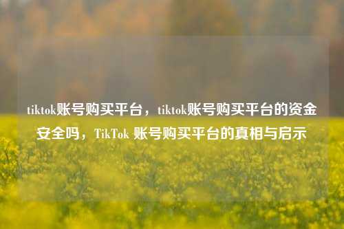 tiktok账号购买平台，tiktok账号购买平台的资金安全吗，TikTok 账号购买平台的真相与启示