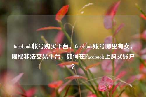 facebook帐号购买平台，facebook账号哪里有卖，揭秘非法交易平台，如何在Facebook上购买账户？