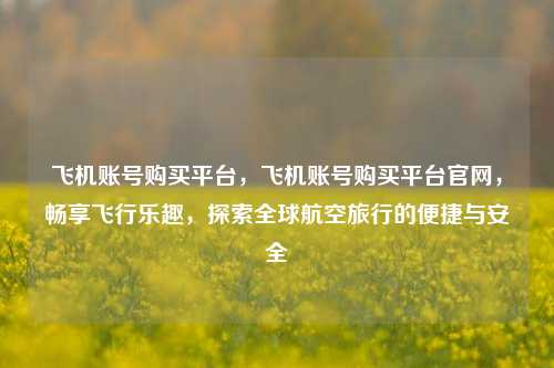 飞机账号购买平台，飞机账号购买平台官网，畅享飞行乐趣，探索全球航空旅行的便捷与安全