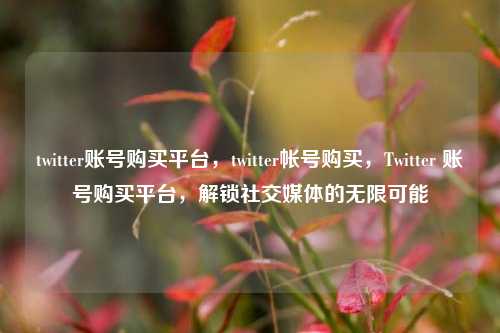 twitter账号购买平台，twitter帐号购买，Twitter 账号购买平台，解锁社交媒体的无限可能