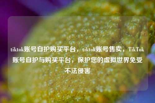 tiktok账号自护购买平台，tiktok账号售卖，TikTok账号自护与购买平台，保护您的虚拟世界免受不法侵害