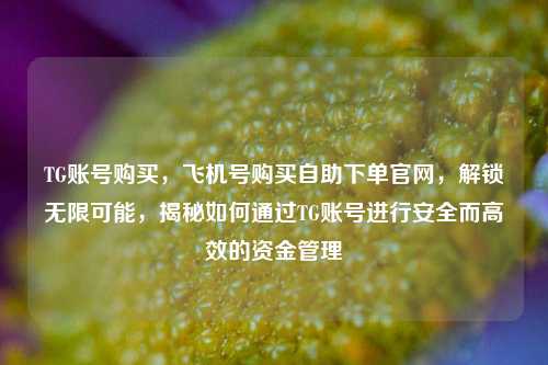 TG账号购买，飞机号购买自助下单官网，解锁无限可能，揭秘如何通过TG账号进行安全而高效的资金管理