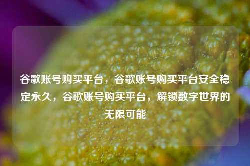 谷歌账号购买平台，谷歌账号购买平台安全稳定永久，谷歌账号购买平台，解锁数字世界的无限可能