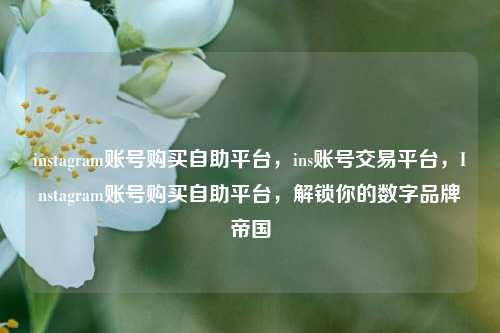 instagram账号购买自助平台，ins账号交易平台，Instagram账号购买自助平台，解锁你的数字品牌帝国