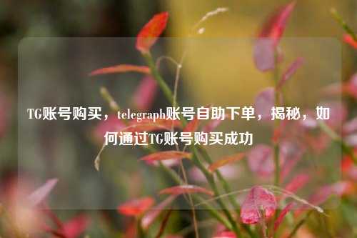 TG账号购买，telegraph账号自助下单，揭秘，如何通过TG账号购买成功