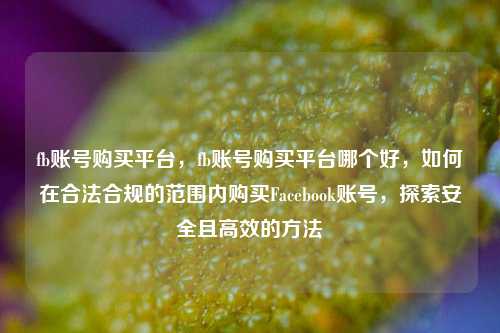 fb账号购买平台，fb账号购买平台哪个好，如何在合法合规的范围内购买Facebook账号	，探索安全且高效的方法  第1张