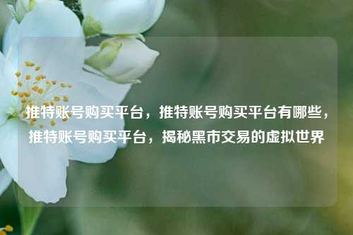 推特账号购买平台，推特账号购买平台有哪些，推特账号购买平台	，揭秘黑市交易的虚拟世界  第1张