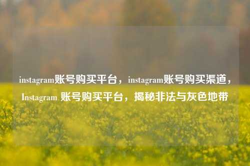 instagram账号购买平台，instagram账号购买渠道，Instagram 账号购买平台，揭秘非法与灰色地带