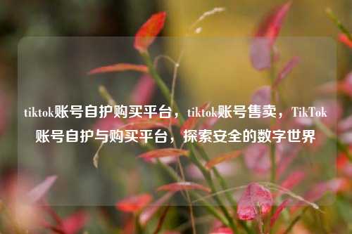 tiktok账号自护购买平台，tiktok账号售卖，TikTok账号自护与购买平台，探索安全的数字世界