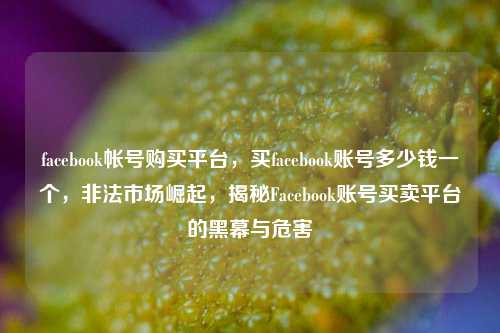 facebook帐号购买平台，买facebook账号多少钱一个，非法市场崛起，揭秘Facebook账号买卖平台的黑幕与危害