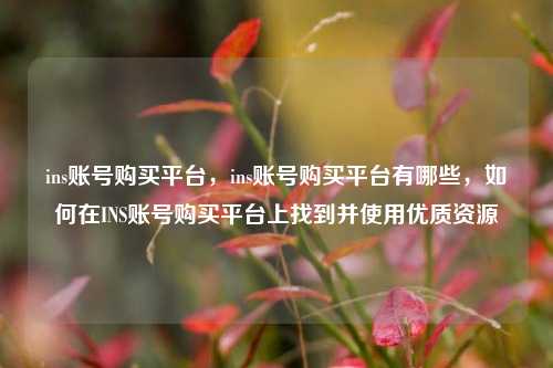 ins账号购买平台，ins账号购买平台有哪些，如何在INS账号购买平台上找到并使用优质资源