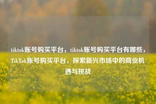 tiktok账号购买平台	，tiktok账号购买平台有哪些，TikTok账号购买平台，探索新兴市场中的商业机遇与挑战  第1张