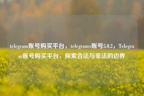 telegram账号购买平台，telegramx账号5.0.2，Telegram账号购买平台，探索合法与非法的边界
