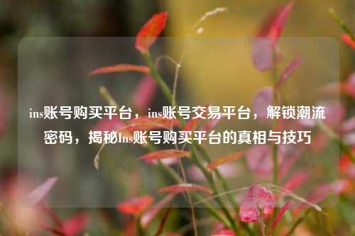 ins账号购买平台，ins账号交易平台，解锁潮流密码，揭秘Ins账号购买平台的真相与技巧