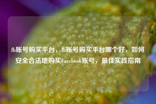 fb账号购买平台，fb账号购买平台哪个好，如何安全合法地购买Facebook账号，最佳实践指南