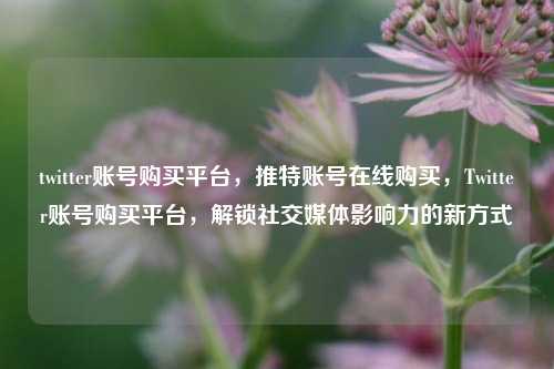 twitter账号购买平台，推特账号在线购买，Twitter账号购买平台，解锁社交媒体影响力的新方式