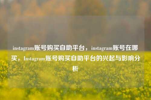 instagram账号购买自助平台，instagram账号在哪买，Instagram账号购买自助平台的兴起与影响分析