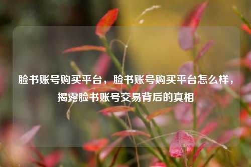 脸书账号购买平台，脸书账号购买平台怎么样，揭露脸书账号交易背后的真相