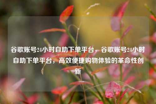 谷歌账号24小时自助下单平台，谷歌账号24小时自助下单平台，高效便捷购物体验的革命性创新